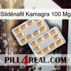 Sildénafil Kamagra 100 Mg cialis4